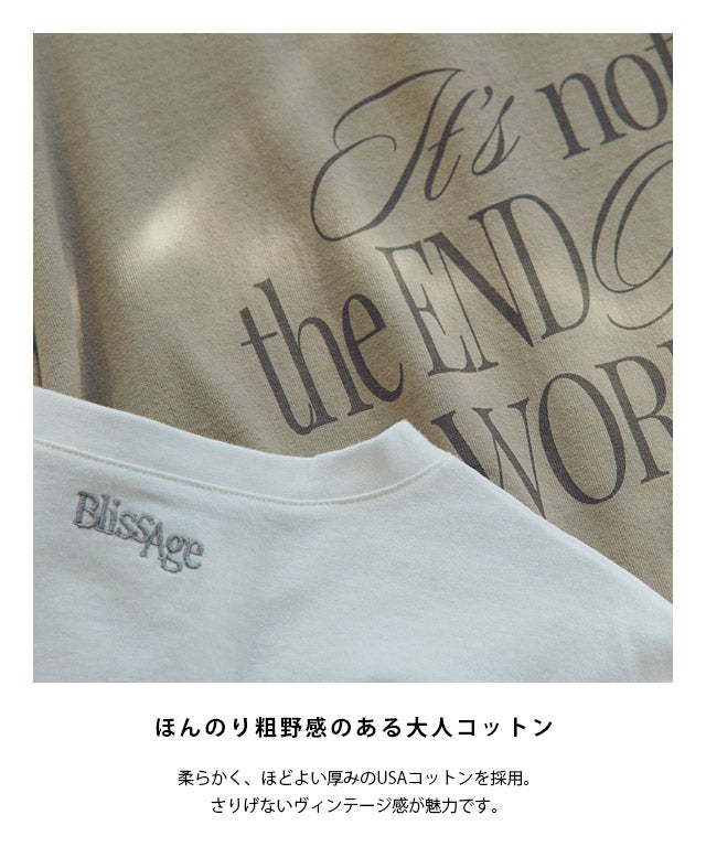 RASW]ソフトUSAコットンロゴTシャツ【Pierrot】 [送料無料] | 【公式